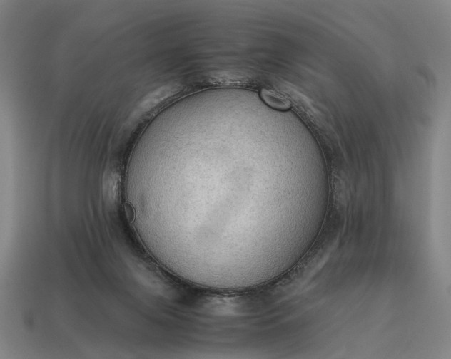 X0000115100071200911101553