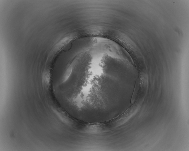 X0000115100072200911101553