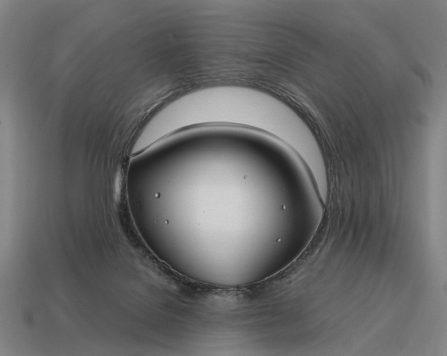 X0000115100076200911101553