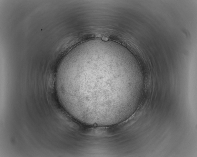 X0000115100078200911101553