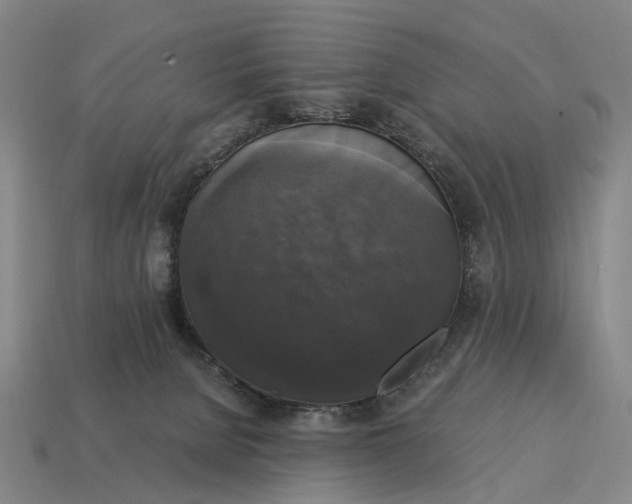 X0000115100080200911101553