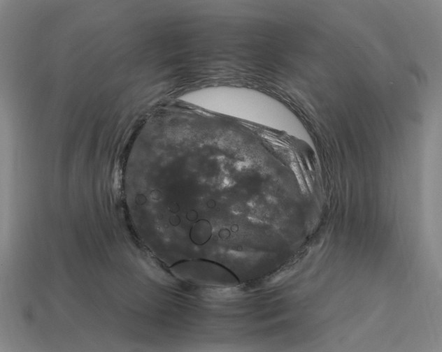 X0000115100081200911101553