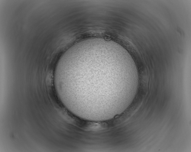 X0000115100083200911101553