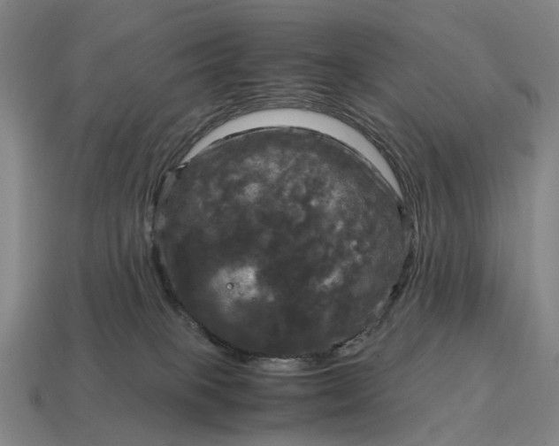 X0000115100085200911101553