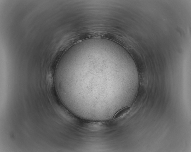 X0000115100086200911101553
