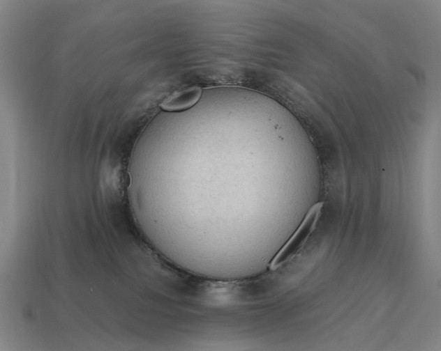 X0000115100088200911101553