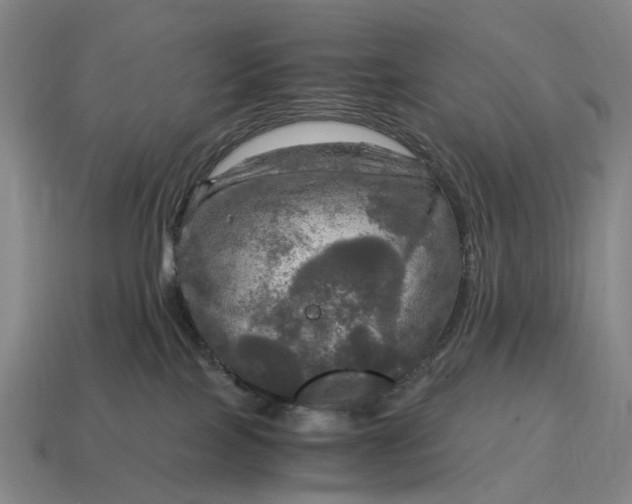 X0000115100089200911101553