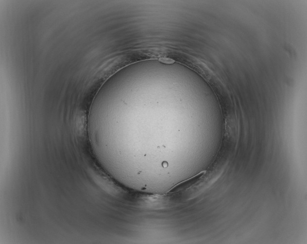 X0000115100092200911101553