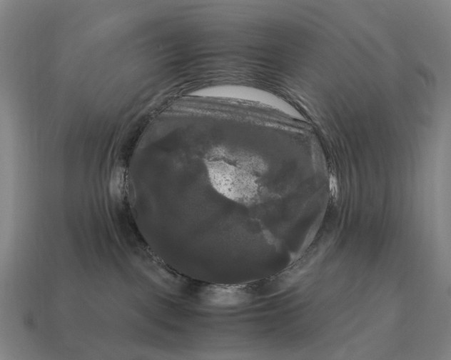 X0000115100093200911101553