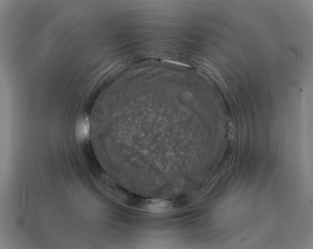 X0000115100095200911101553