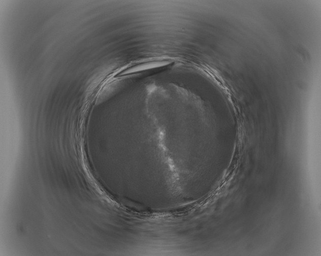 X0000115100097200911101553