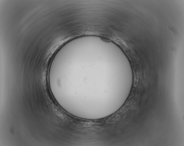 X0000115100098200911101553