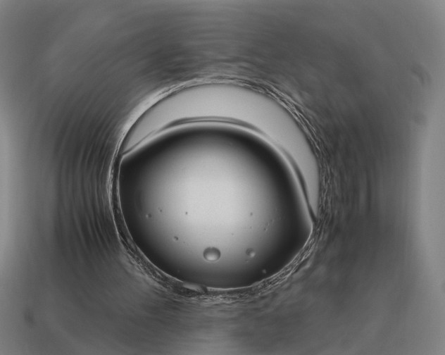 X0000115100100200911101553