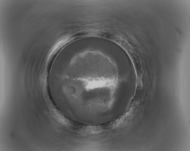 X0000115100101200911101553