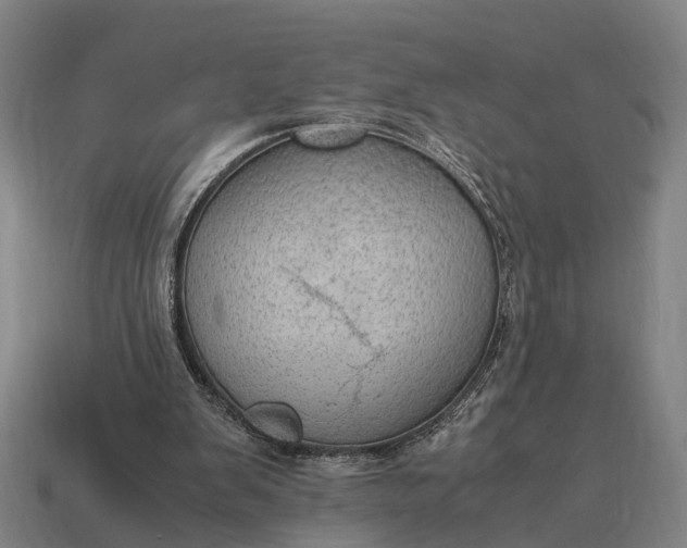 X0000115100103200911101553
