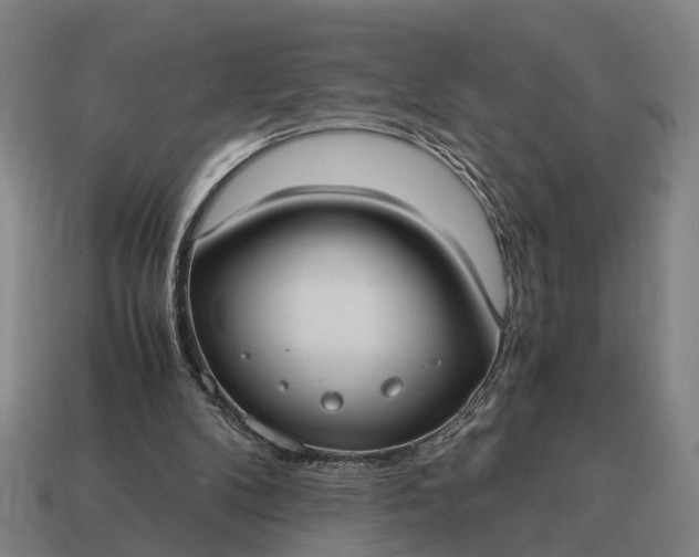 X0000115100104200911101553