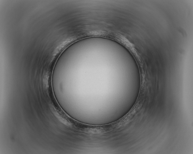 X0000115100106200911101553