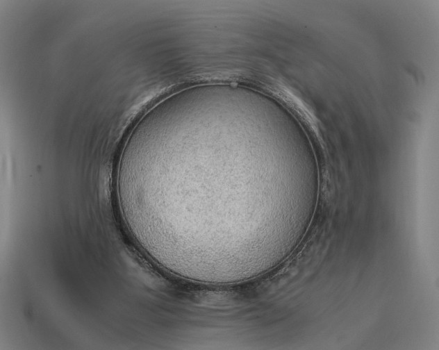 X0000115100107200911101553