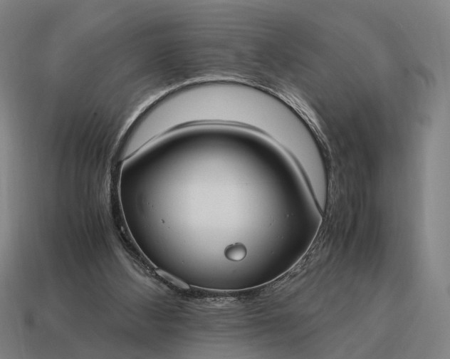 X0000115100108200911101552