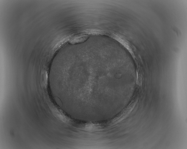 X0000115100109200911101552