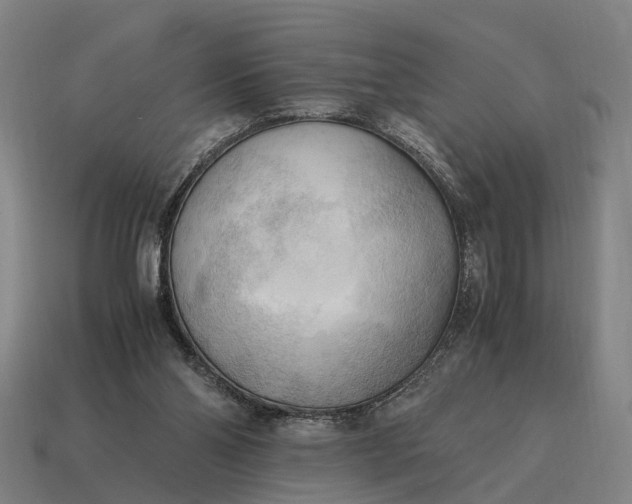 X0000115100110200911101552