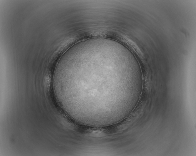 X0000115100113200911101552