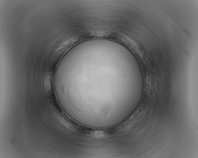 X0000115100114200911101552