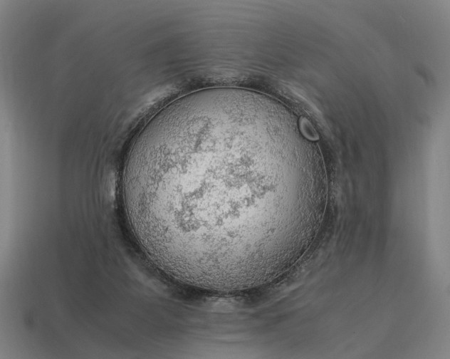 X0000115100115200911101552