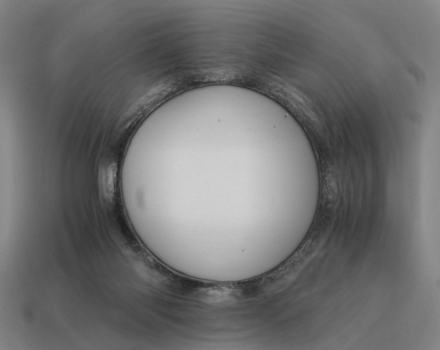 X0000115100118200911101552