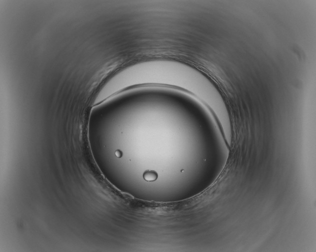 X0000115100120200911101552