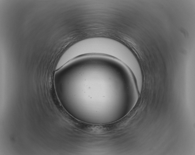 X0000115100121200911101552