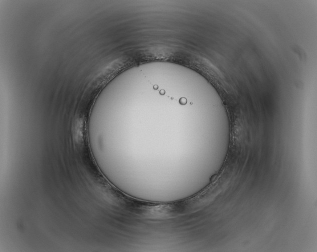 X0000115100122200911101552