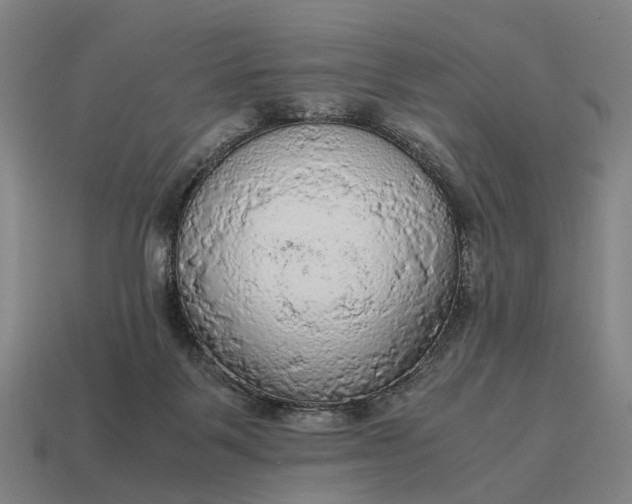 X0000115100123200911101552