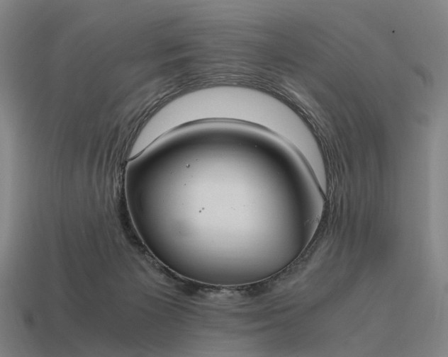 X0000115100125200911101552