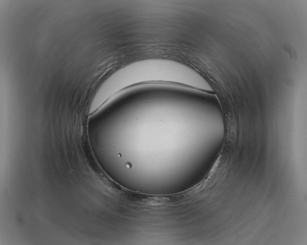 X0000115100128200911101552