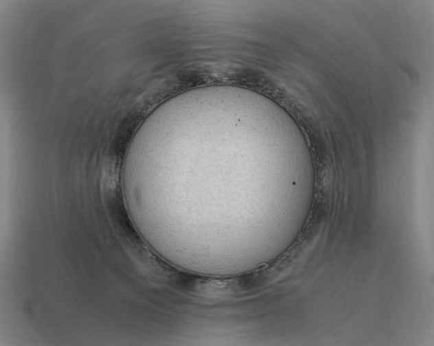 X0000115100129200911101552
