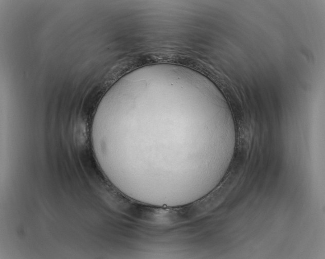 X0000115100130200911101552