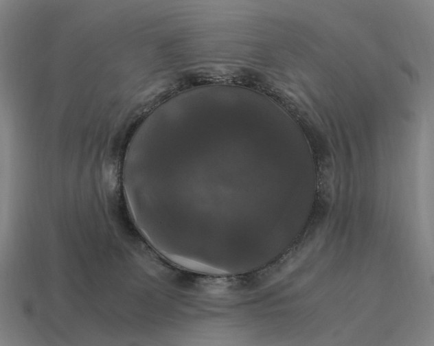 X0000115100131200911101552