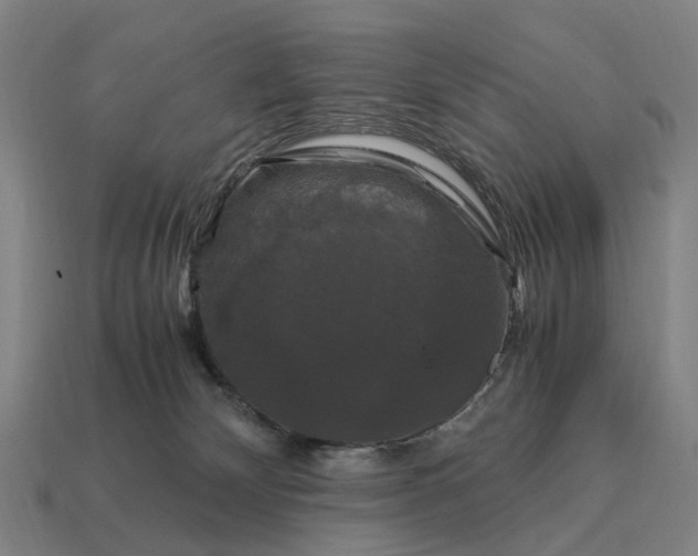 X0000115100132200911101552