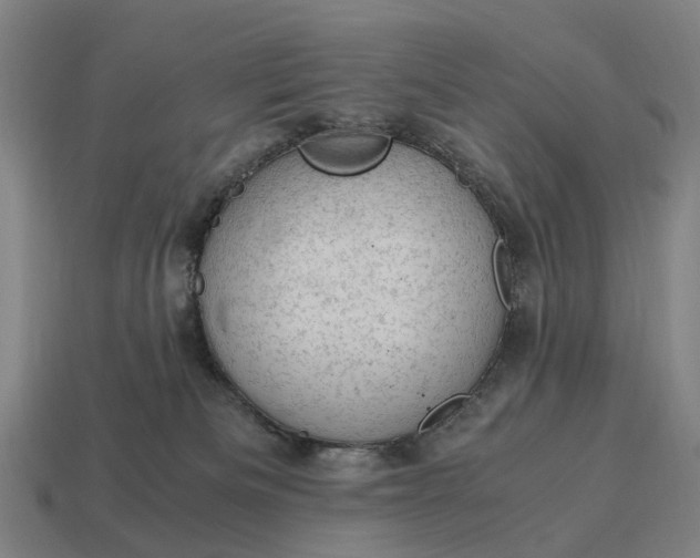 X0000115100133200911101552