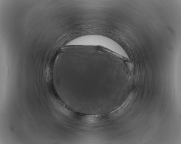 X0000115100136200911101552