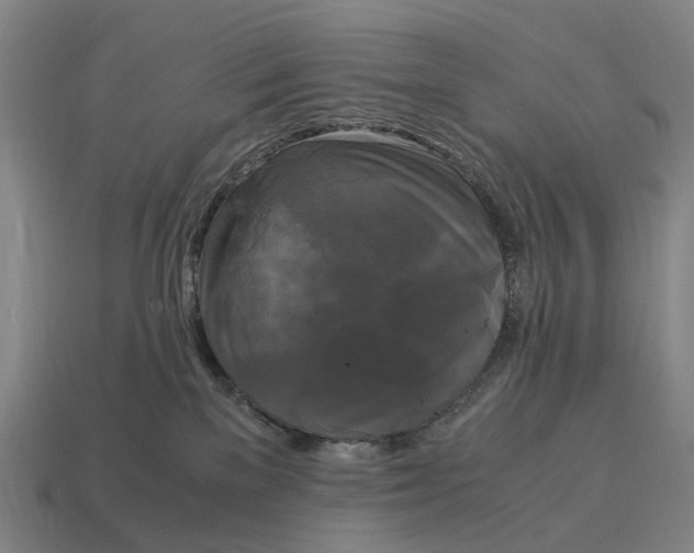 X0000115100137200911101552