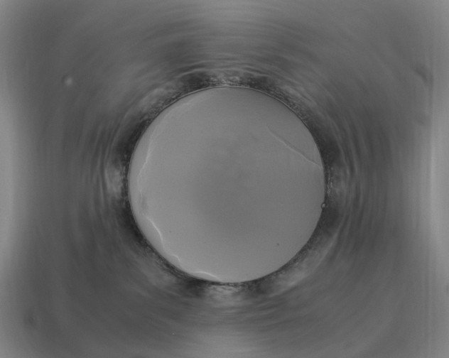 X0000115100139200911101552