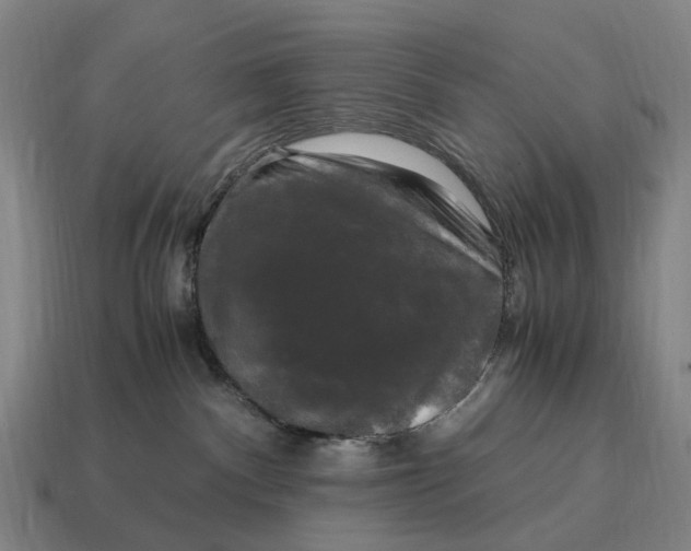 X0000115100140200911101552