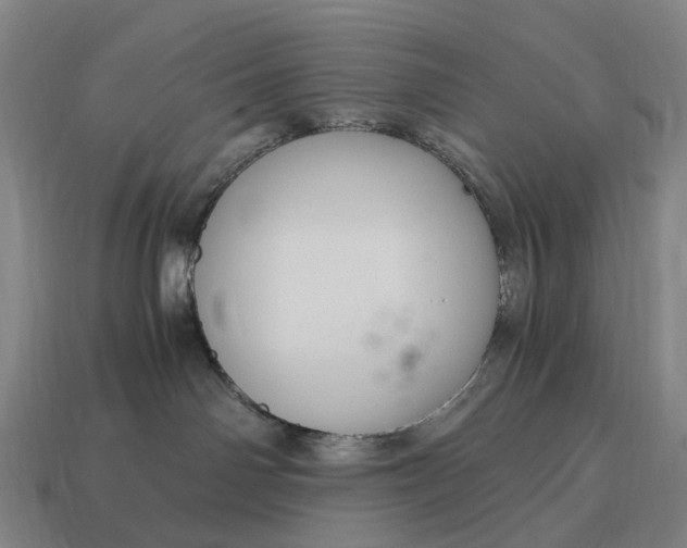 X0000115100142200911101552