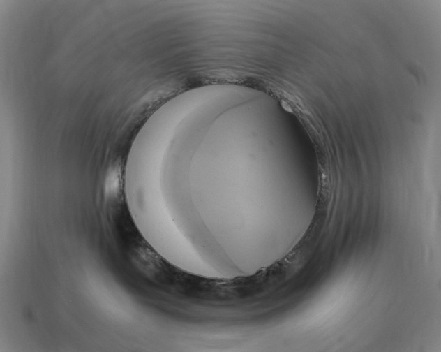 X0000115100143200911101552