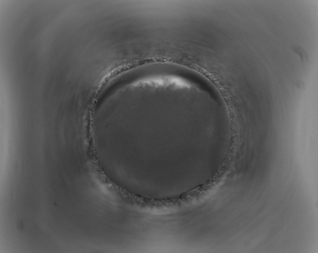 X0000115100144200911101552
