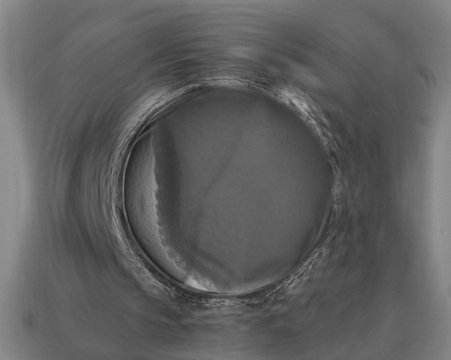 X0000115100145200911101551