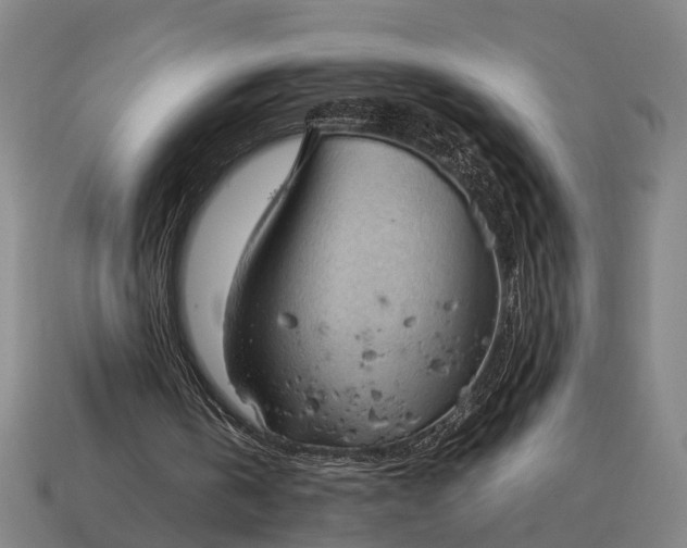 X0000115100146200911101551