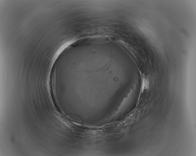 X0000115100147200911101551